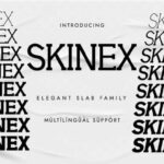 Skinex Fonts