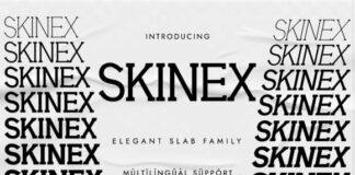 Skinex Fonts