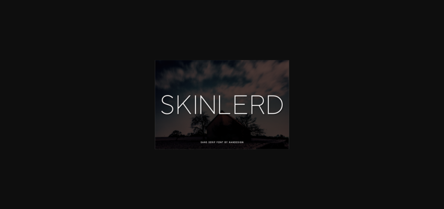 Skinlerd Font Poster 3