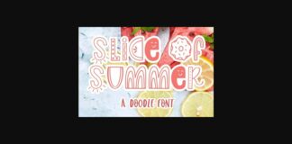 Slice of Summer Font Poster 1