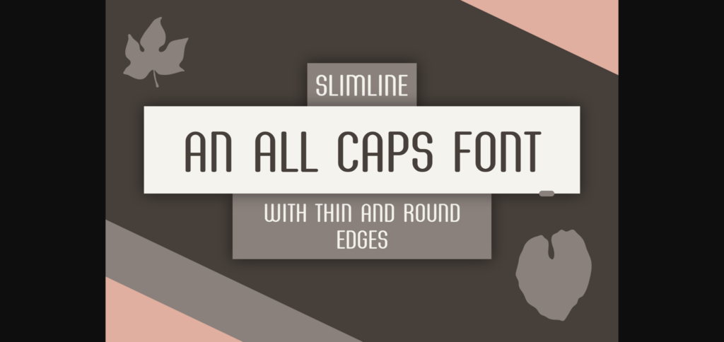 Slimline Font Poster 5