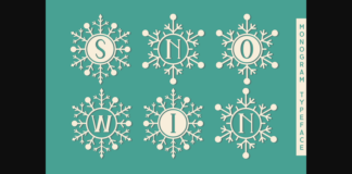 Snowin Font Poster 1