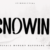 Snowing Font