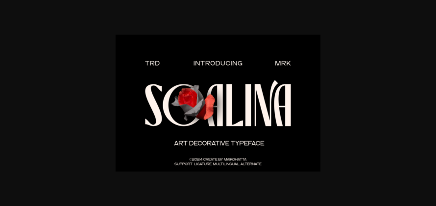 Soalina Font Poster 1