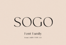 Sogo Font Poster 1