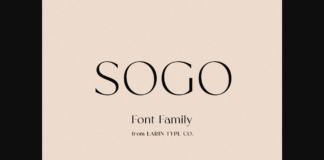 Sogo Font Poster 1