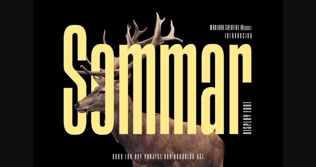 Sommar Font Poster 3