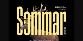 Sommar Font Poster 1