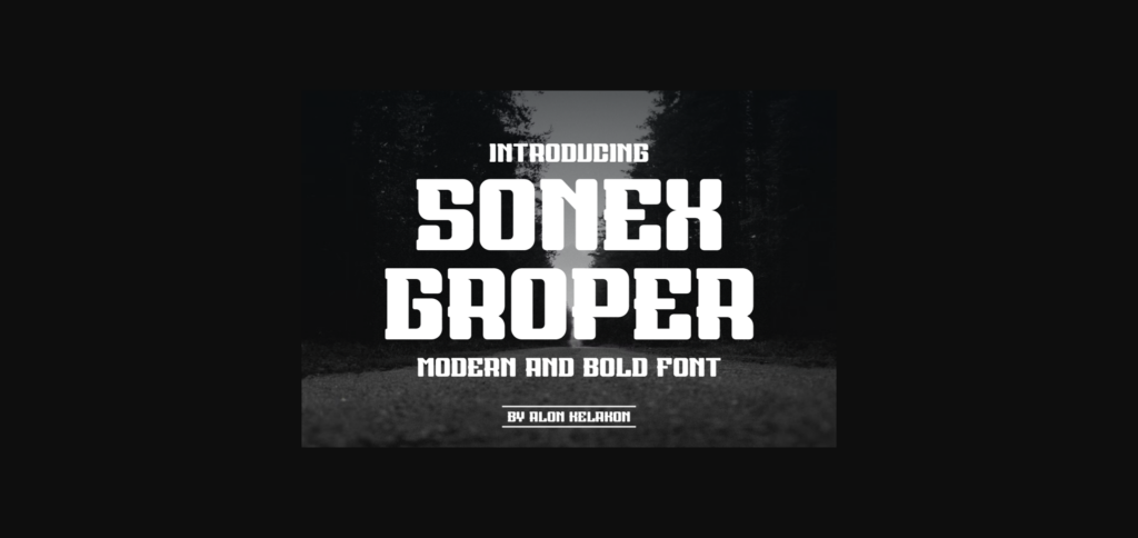 Sonex Groper Font Poster 3