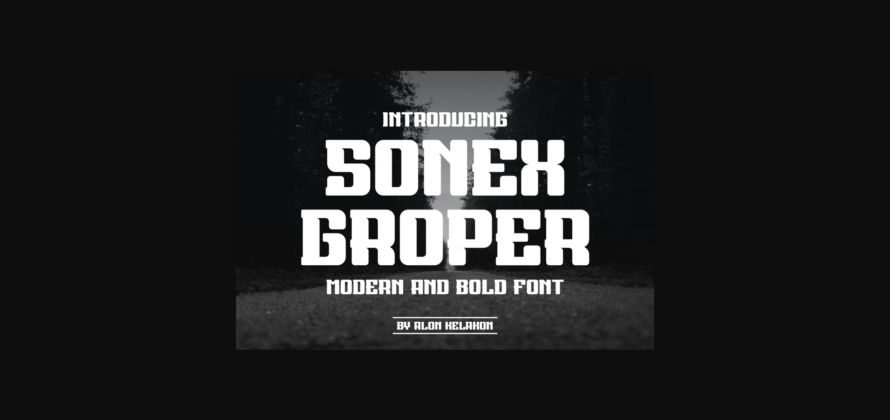 Sonex Groper Font Poster 1