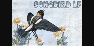 Songbird LF Font Poster 1