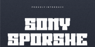 Sony Sporshe Fonts