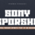 Sony Sporshe