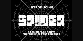 Spider Font Poster 1