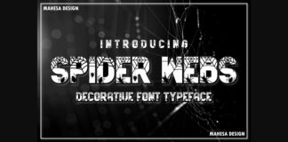 Spider Webs Font Poster 1