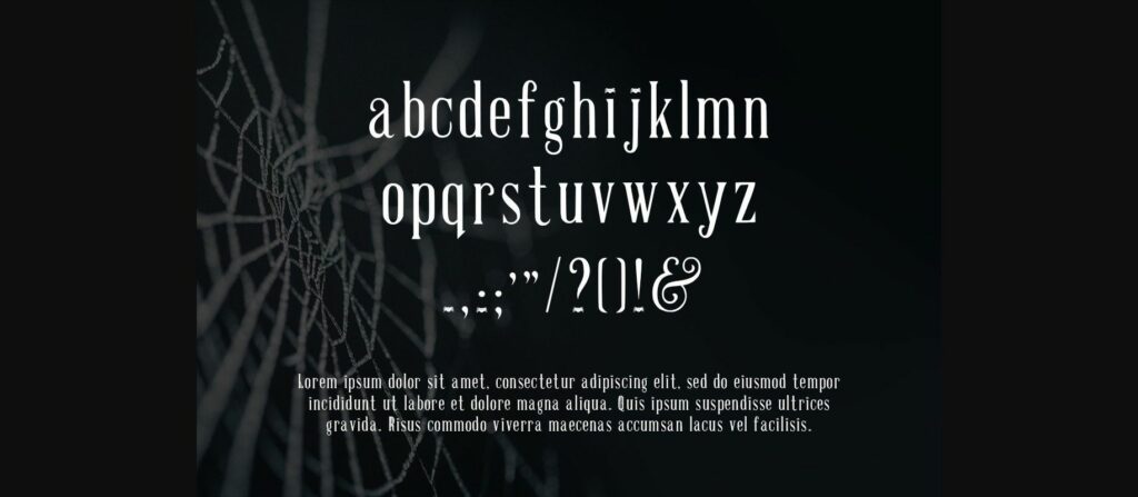 Spiky Spiderweb Font Poster 5