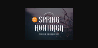 Spring Hontinga Font Poster 1