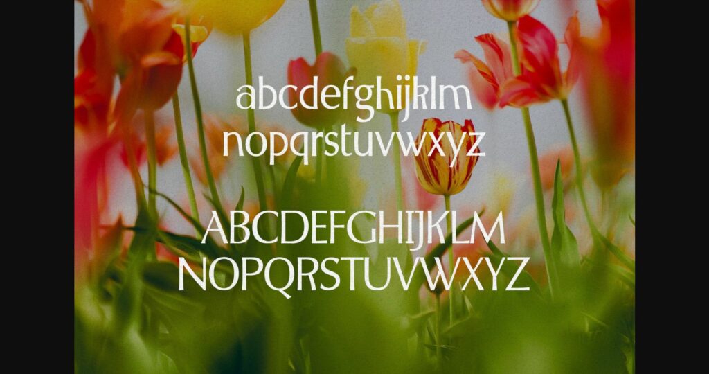 Spring Melody Font Poster 6