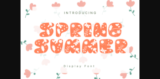 Spring Summer Font Poster 1