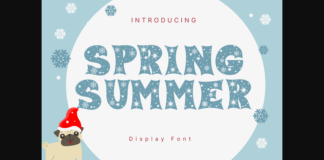 Spring Summer Font Poster 1