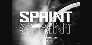 Sprint Font Poster 1