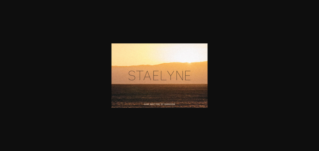 Staelyne Font Poster 3