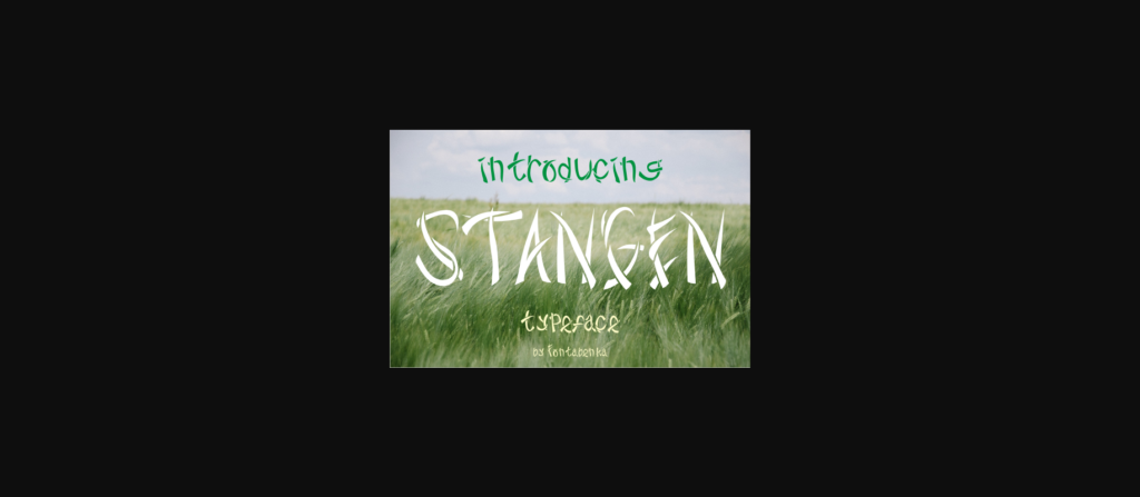 Stangen Font Poster 1