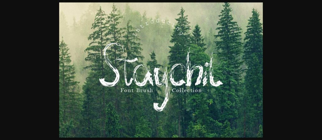 Staychil Font Poster 3