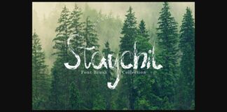 Staychil Font Poster 1