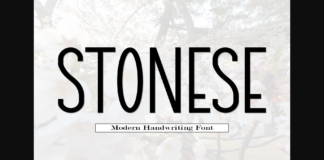 Stonese Font Poster 1