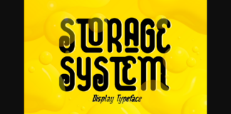 Storage System Font Poster 1