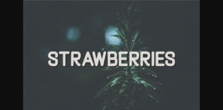 Strawberries Font Poster 1