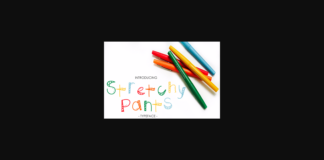 Stretchy Pants Font Poster 1