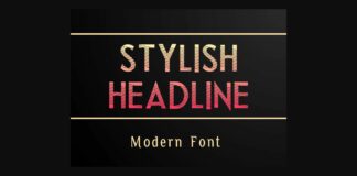 Stylish Headline Font Poster 1