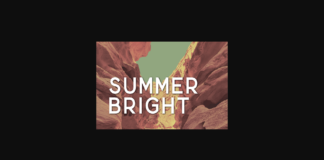 Summer Bright Font Poster 1