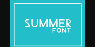 Summer Font Poster 1