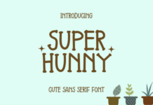 Super Hunny Font