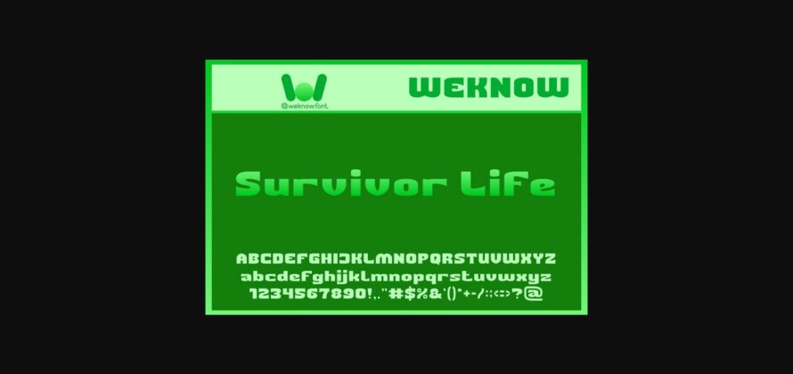 Survivor Life Font Poster 3