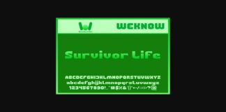 Survivor Life Font Poster 1