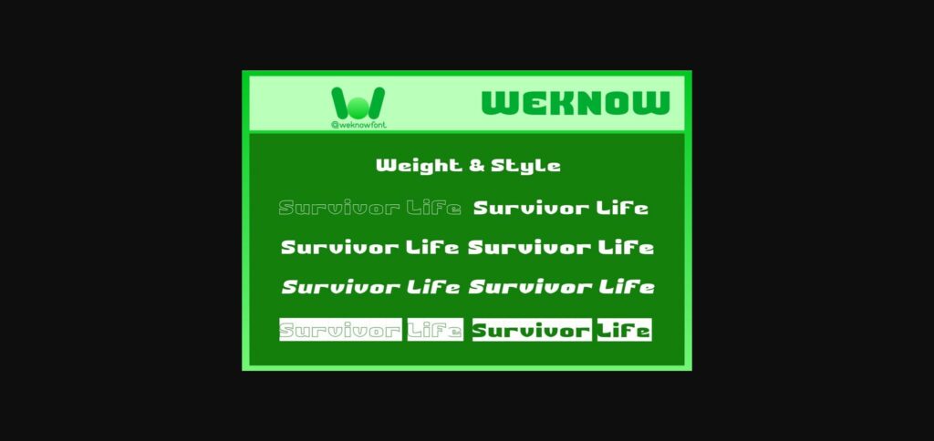 Survivor Life Font Poster 9