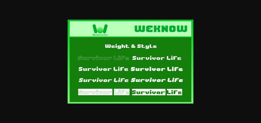 Survivor Life Font Poster 9