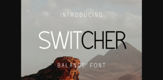 Switcher Font Poster 1