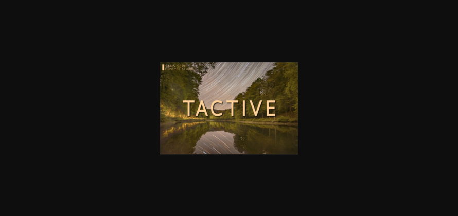 Tactive Font Poster 3