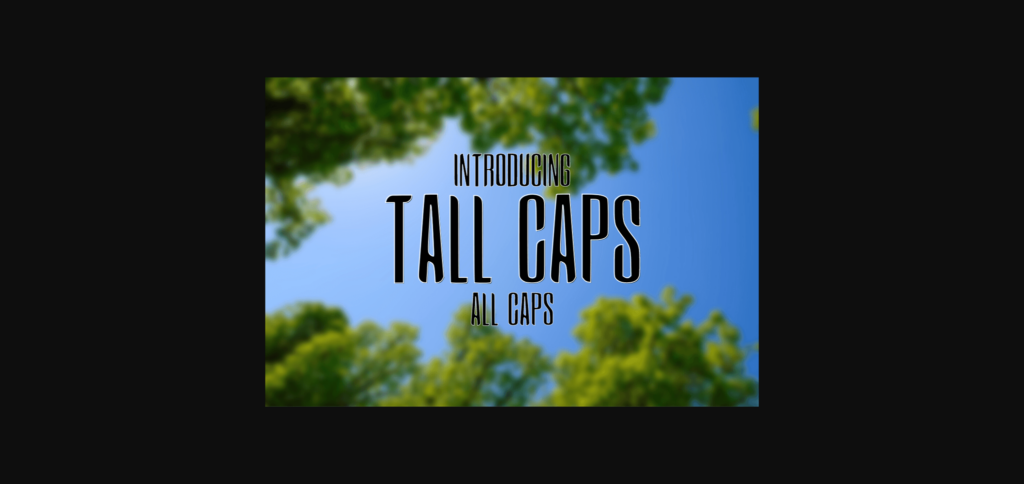 Tall Caps Font Poster 3