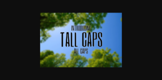 Tall Caps Font Poster 1