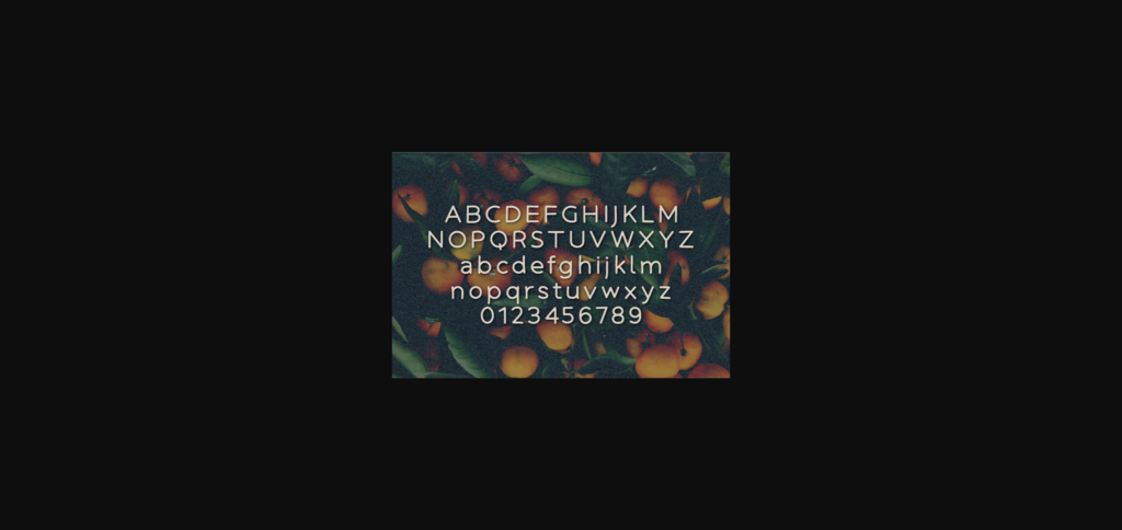 Tangerine Font Poster 2