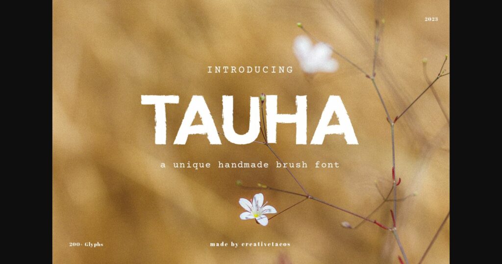 Tauha Font Poster 1