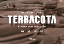 Terracota Font Poster 1