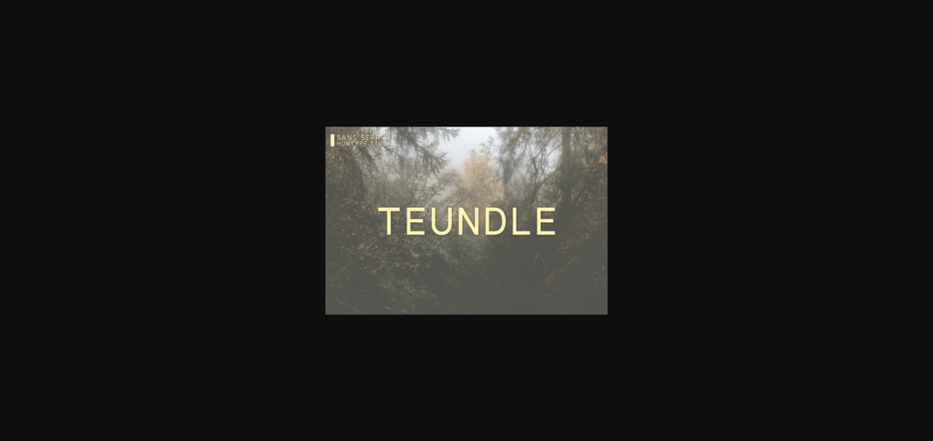 Teundle Font Poster 3