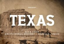 Texas Fonts